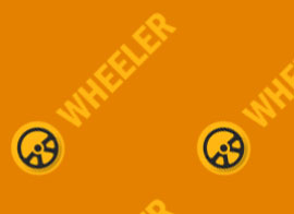 Skilled Driver